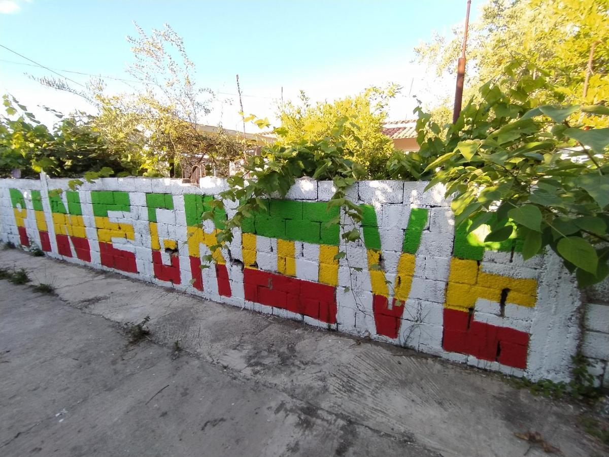 Pinegroove Hostel Vlora ภายนอก รูปภาพ