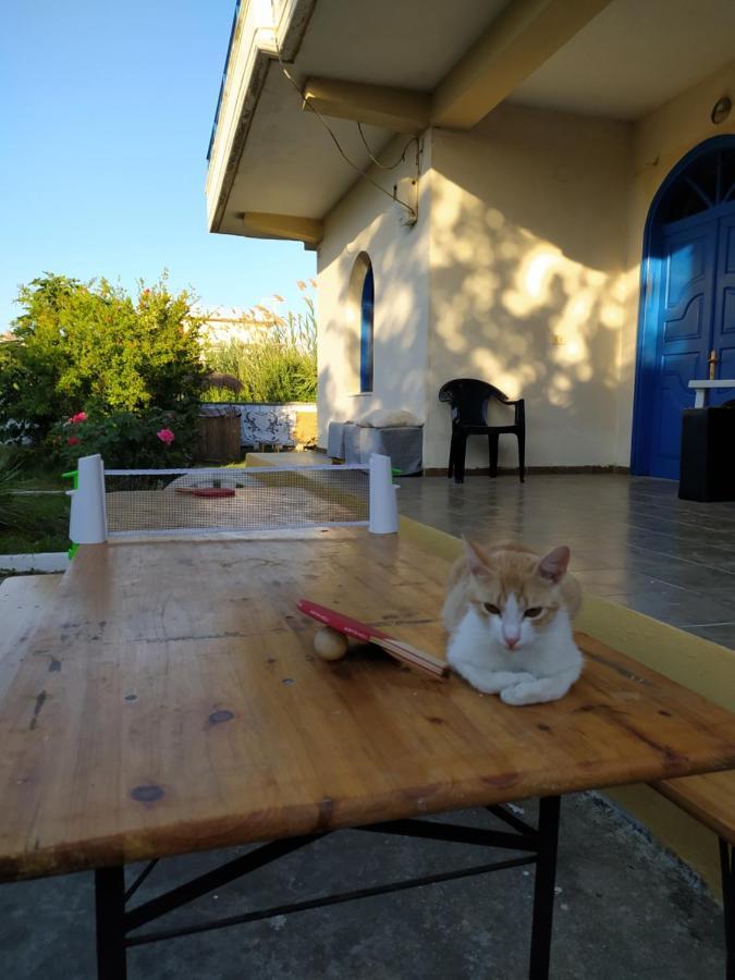 Pinegroove Hostel Vlora ภายนอก รูปภาพ