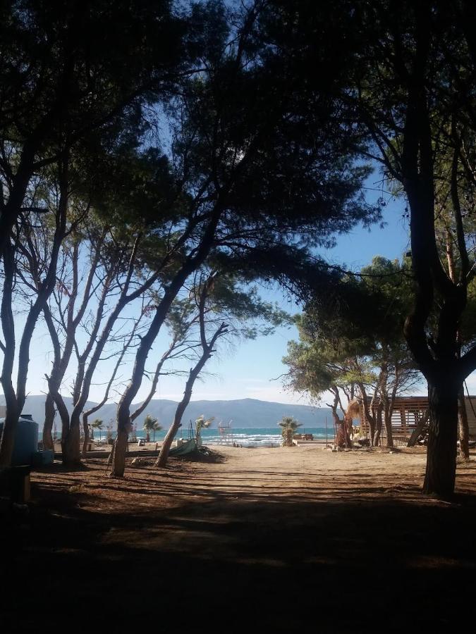 Pinegroove Hostel Vlora ภายนอก รูปภาพ