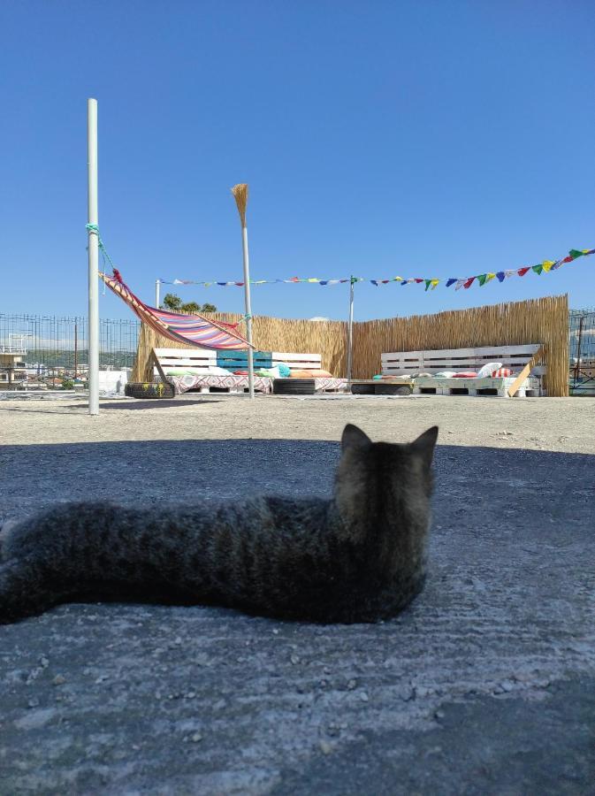Pinegroove Hostel Vlora ภายนอก รูปภาพ