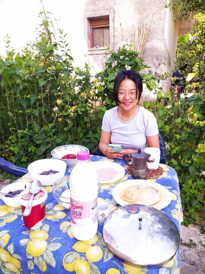 Pinegroove Hostel Vlora ภายนอก รูปภาพ