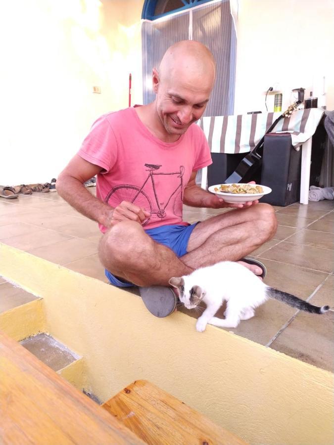 Pinegroove Hostel Vlora ภายนอก รูปภาพ